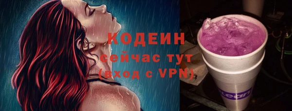 хмурый Арсеньев