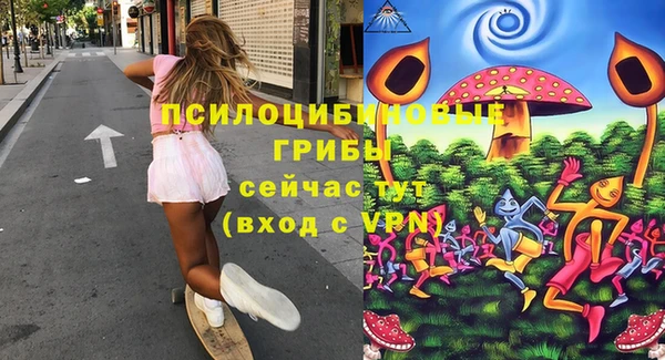 метадон Алексин