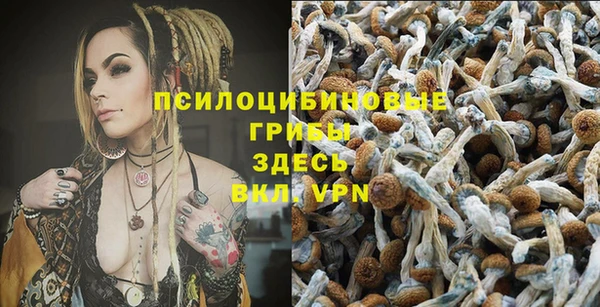 метадон Алексин